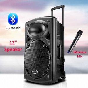 12'' Bluetooth Wireless Microphone Speaker